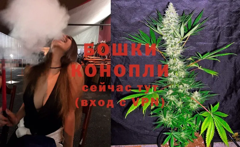 Конопля Bruce Banner  Лысьва 